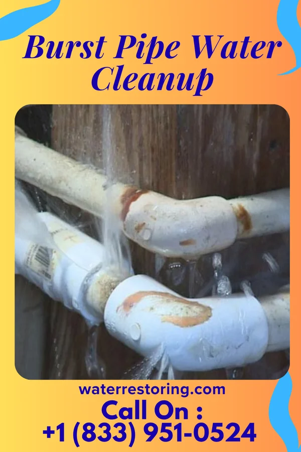 Burst Pipe Water Cleanup in Friesland, WI
