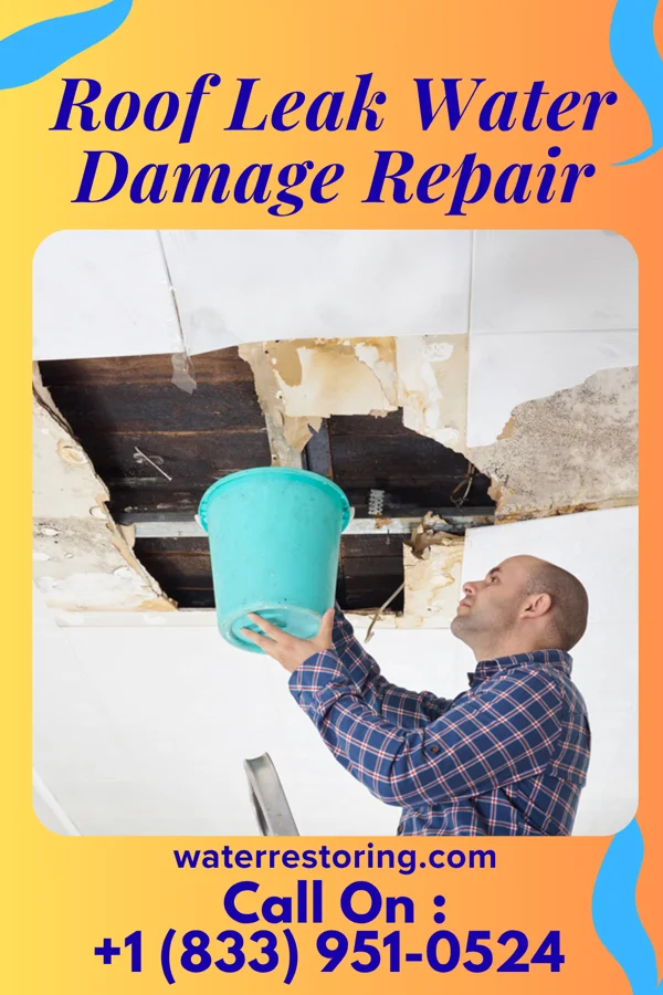 Roof Leak Water Damage Repair in Friesland, WI
